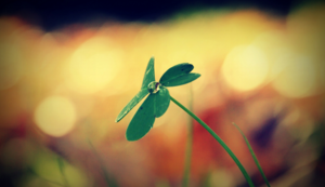 巴西球星加盟摩纳哥，法甲联赛或掀波澜