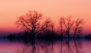 东契奇砍下分，斯洛文尼亚男篮力克意大利