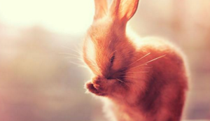 波尔多球员士气高涨，欲挑战强队