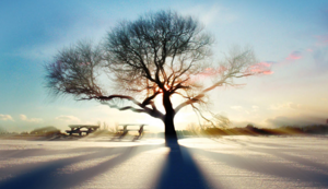 慕尼黑击败对手，挺进积分榜前列